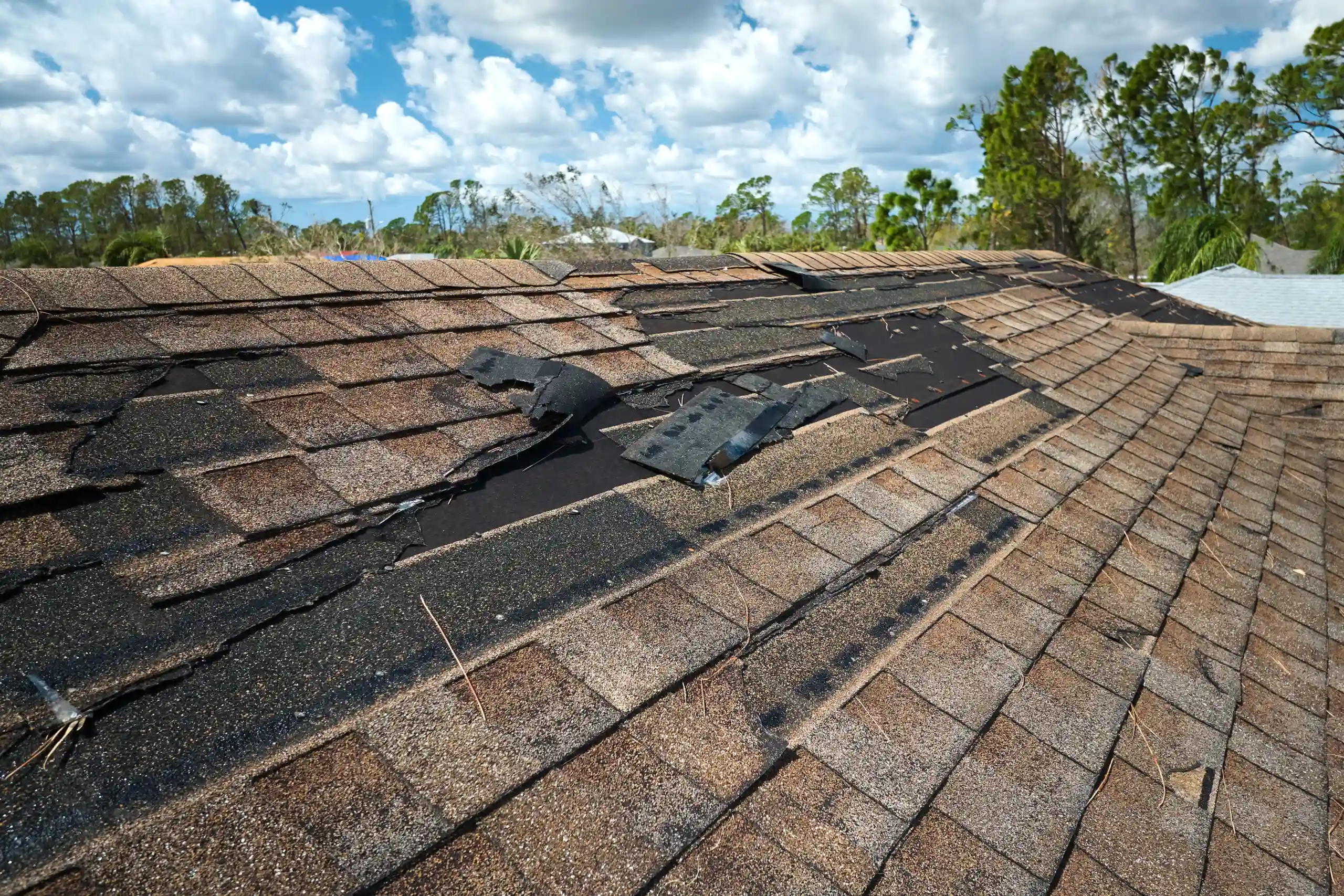 roofing services