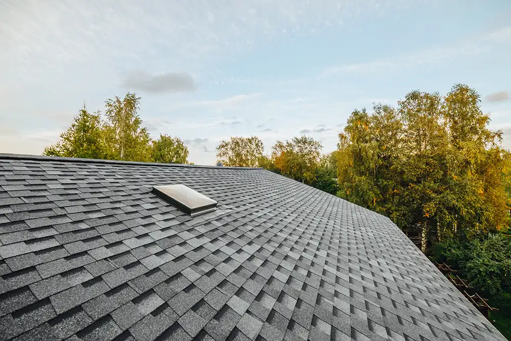 roofing services