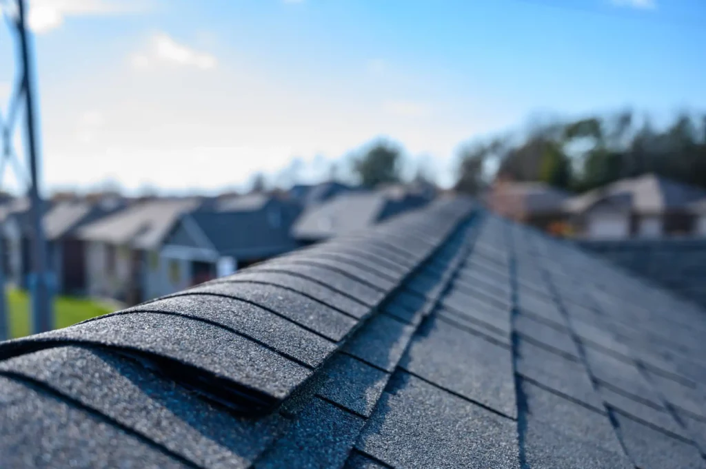 roofing services